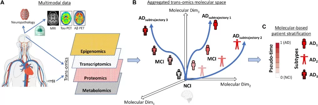 Schematic approach for multi-omics molecular integration and patient stratification in Alzheimer disease